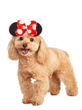 Minnie Mouse Pet Accessory