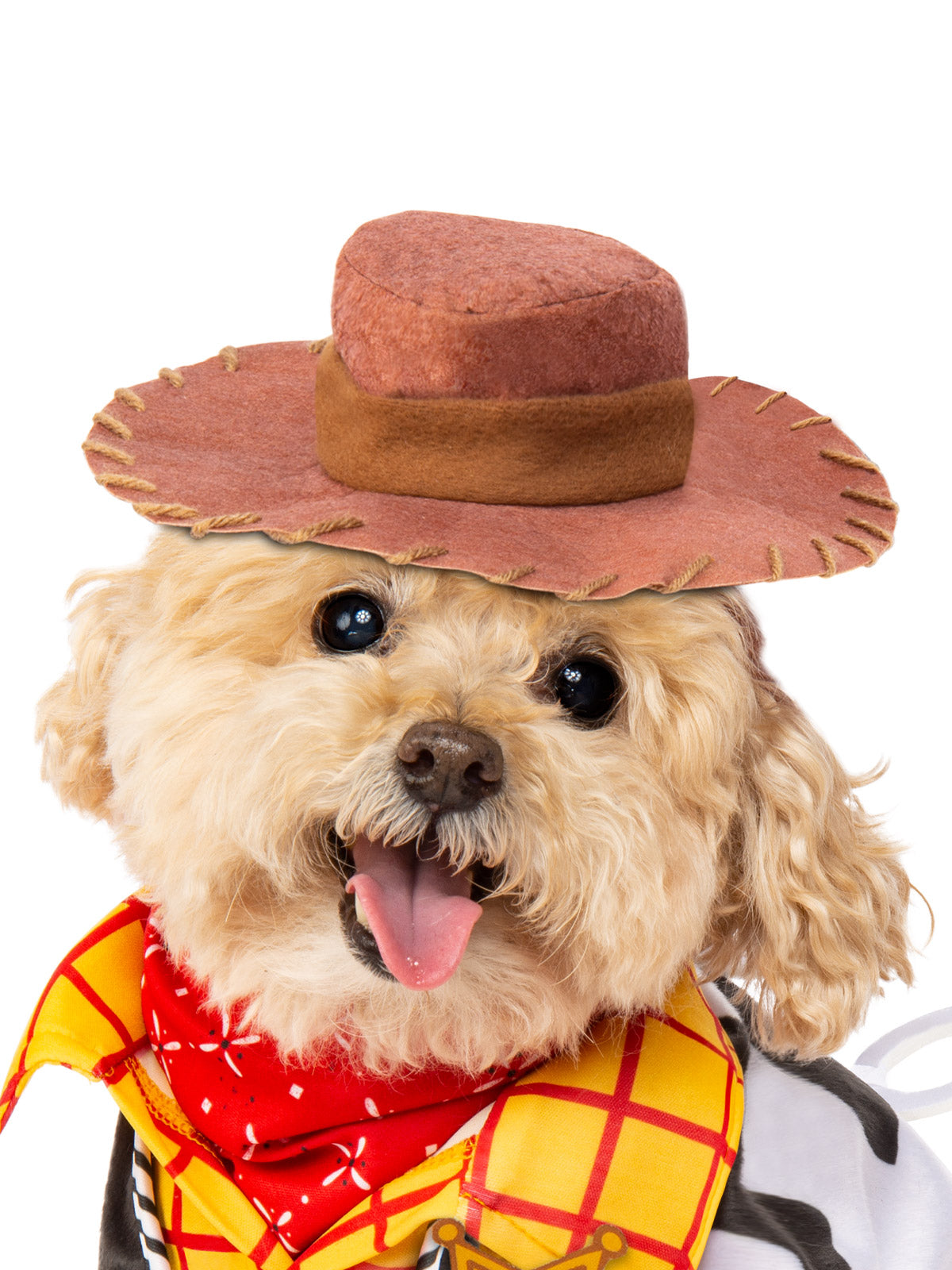 Woody Toy Story Dog Costume, Pet