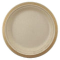 Sugarcane Dinner Plates 230mm Gold Pack of 10