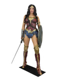 Wonder Woman - Dc Comics Life-Size Foam Figure
