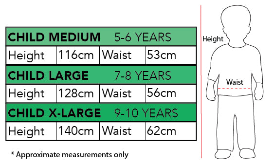Renaissance Princess Costume, Child