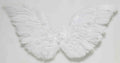 Angel Wings  - White