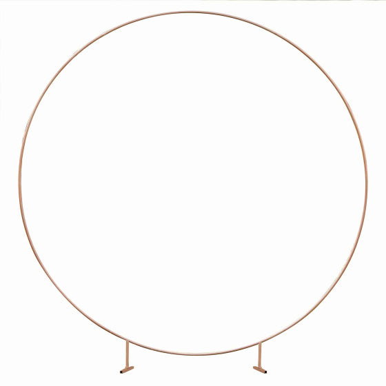 Copper Hoop Frame by Ginger Ray