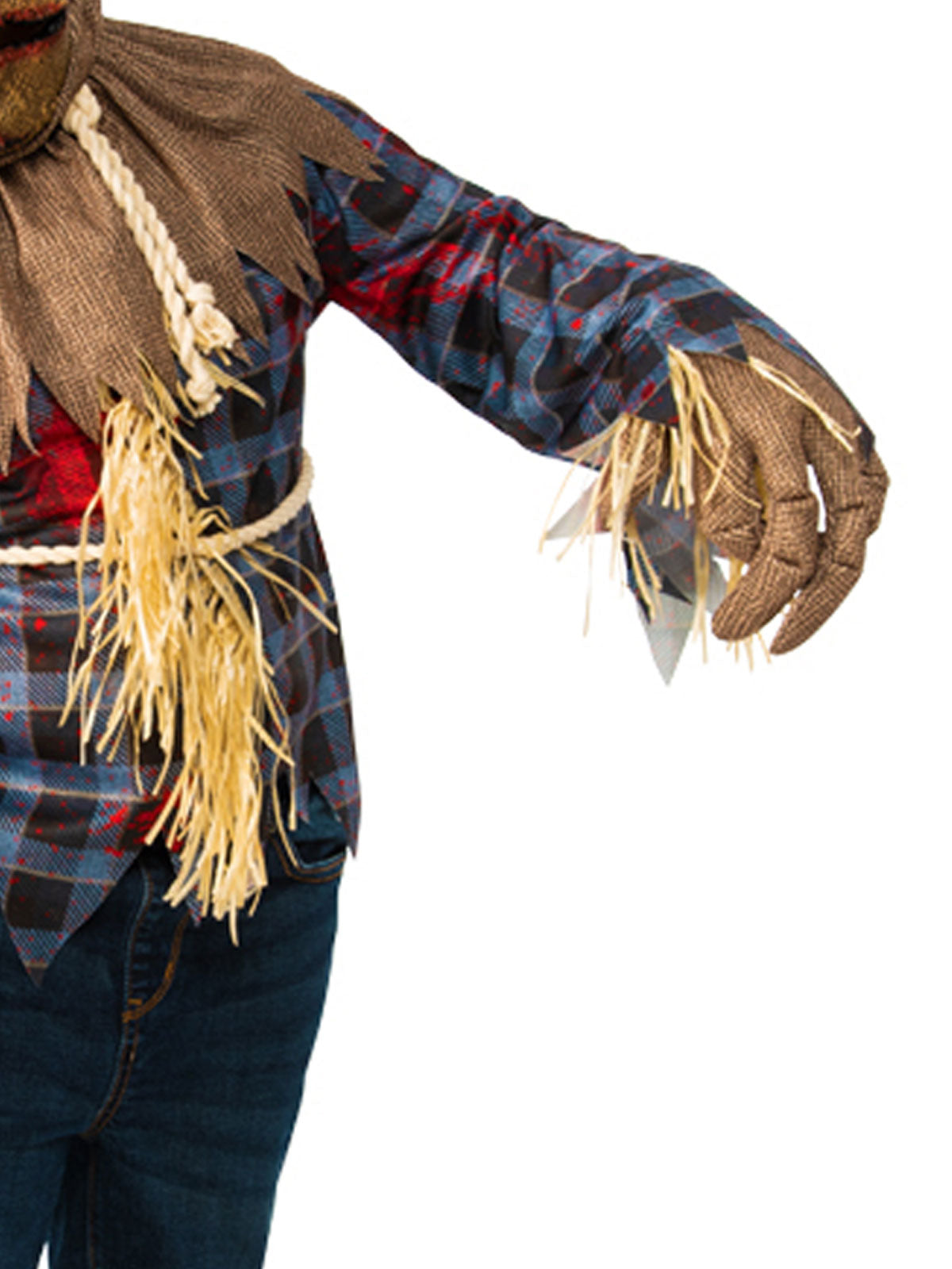 Scarecrow Costume, Child