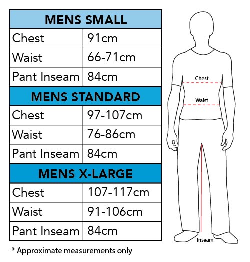 Chica Deluxe Costume, Adult