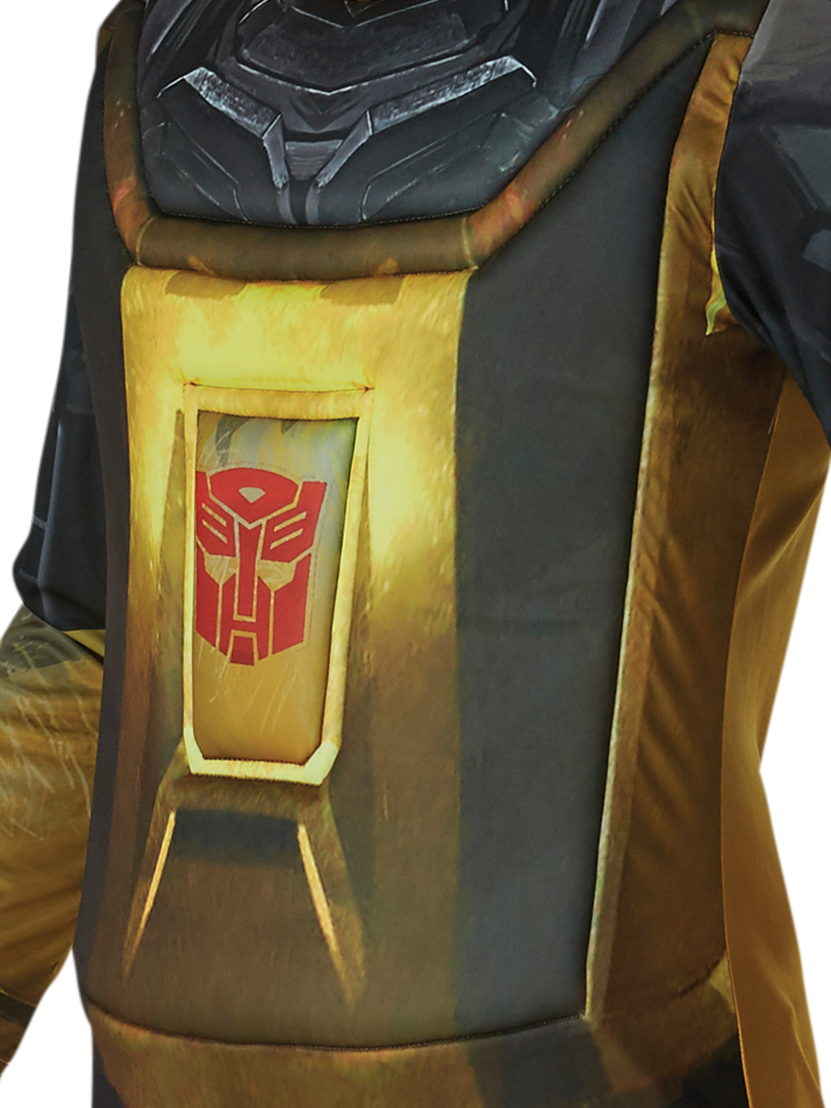 Bumblebee Costume, Adult