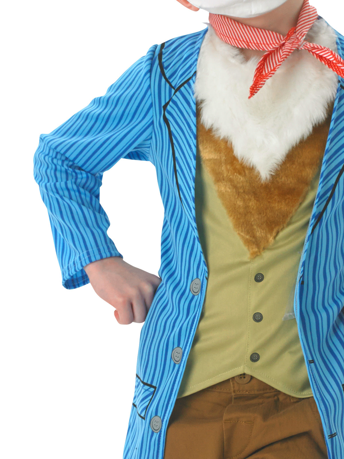 Mr Fox Deluxe Costume, Child