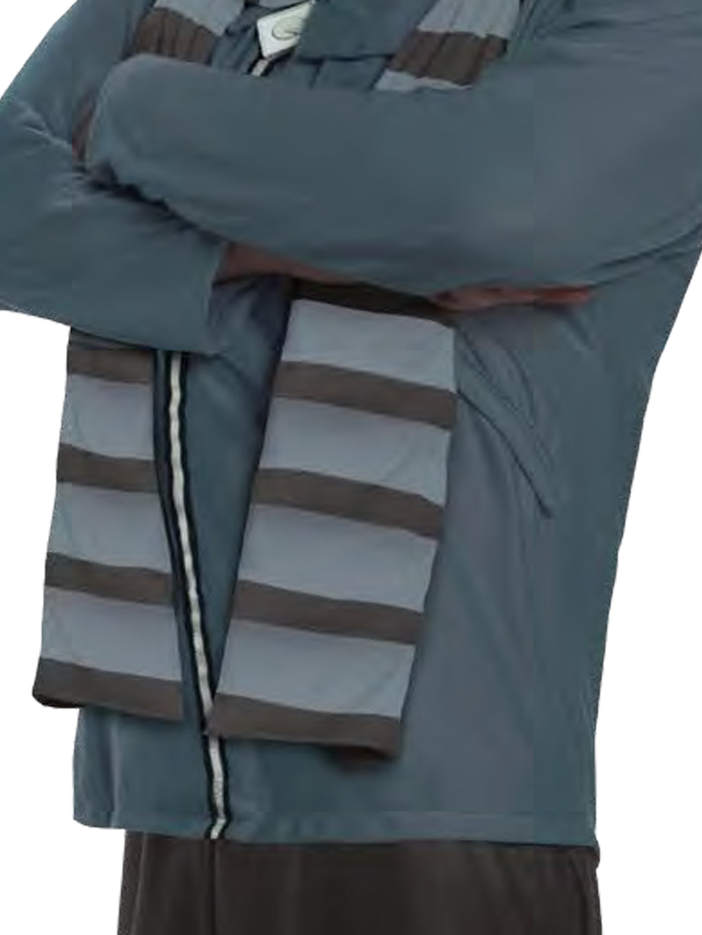Minion Gru Costume, Adult