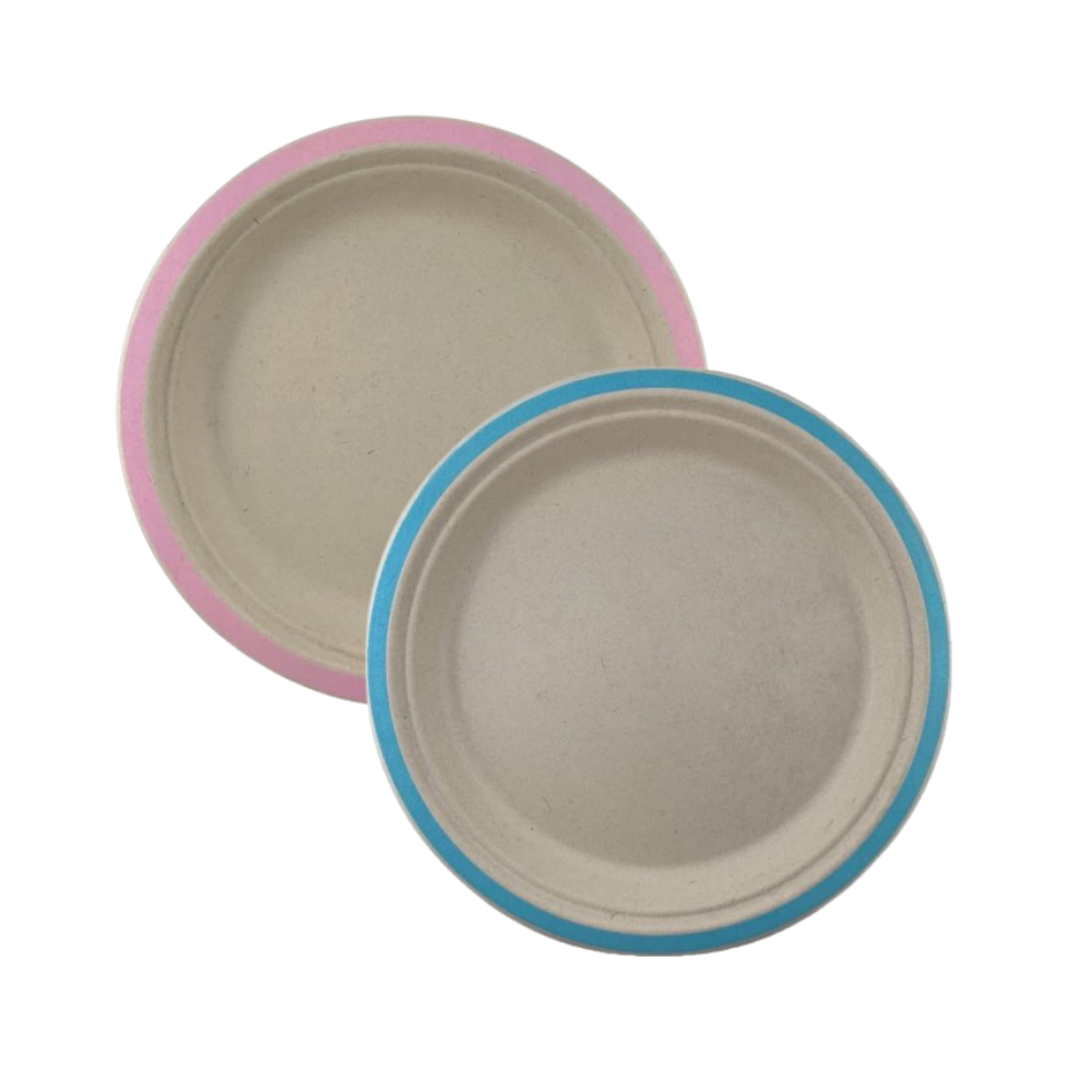 Sugarcane Lunch Plates 18cm Coloured Pack of 10