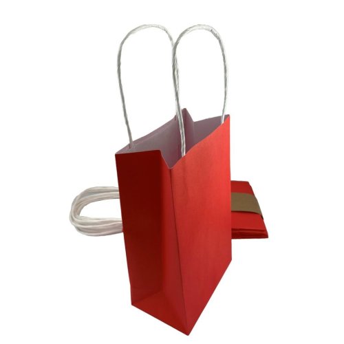 Party Bag Paper 215x130x80mm Pack of 5