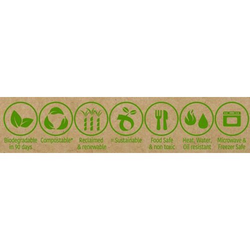 Sugarcane Dinner Plates 230mm Gold Pack of 10