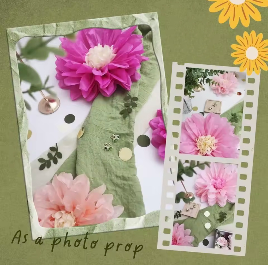 12 Tissue Paper Pom Pom Flowers
